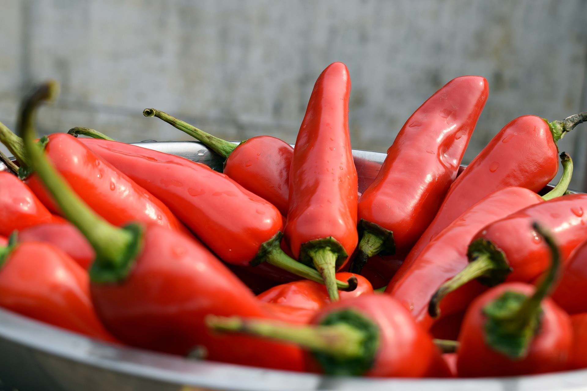 ”What is Hot” & ”What is not” på din webbplats